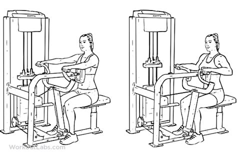 Seated Machine Back Row | WorkoutLabs