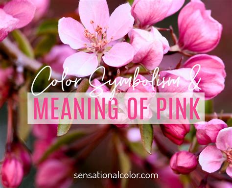 Meaning Of Pink: Color Psychology And Symbolism - Sensational Color