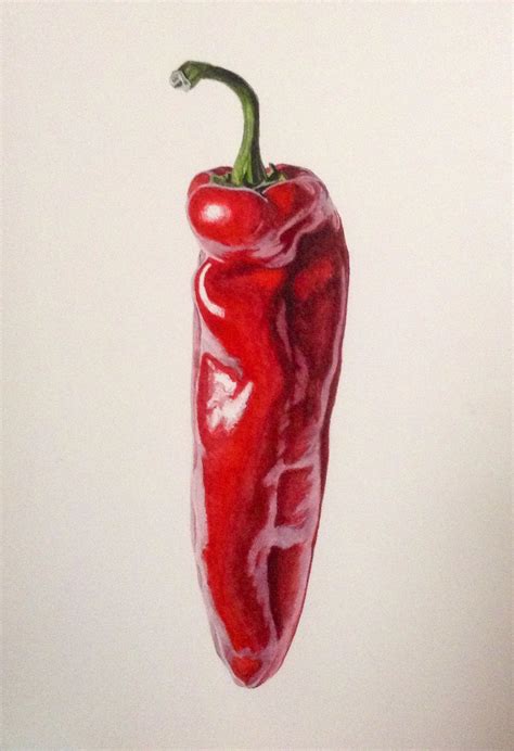 gallery - Watercolours with WOW | Fruit art drawings, Vegetable ...