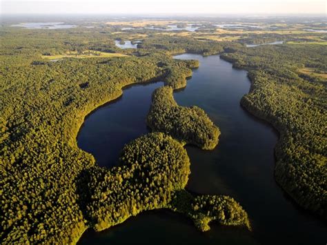 Beautiful Lithuanian forest and some lakes - Photorator