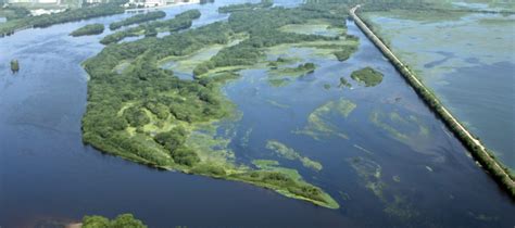 Climate Change Effects On the Upper Mississippi River Ecosystem