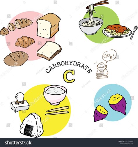 Illustration Set Carbohydrate Foods Stock Vector (Royalty Free ...