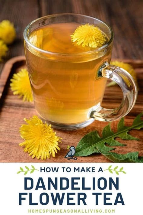 Dandelion Tea Recipe | Recipe in 2021 | Dandelion tea recipe, Dandelion recipes, Dandelion tea