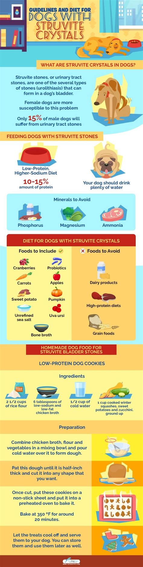 Struvite Crystals in Dogs & Guidelines for a Special Diet