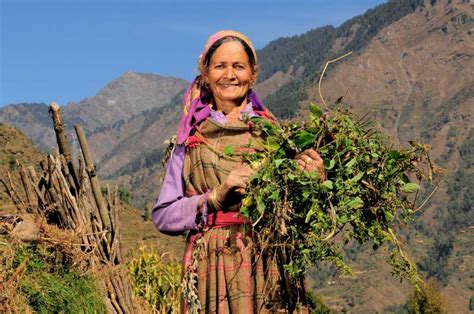 Traditional Himachal Pradesh Dresses - Holidify