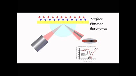 BHS013-6 Applications of Surface Plasmon Resonance In Biotechnology