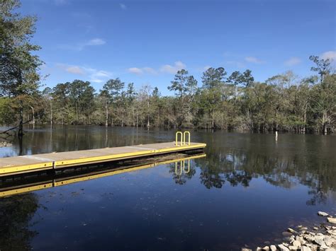 Waccamaw River - Pireway Boat Ramp | Swim Guide