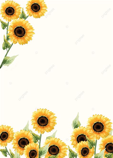 Minimalist Sunflower Wallpaper