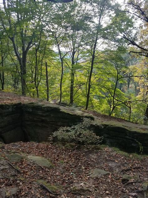 Whipps Ledges. Hinckley, Ohio | Sacred places, Places to go, Favorite places