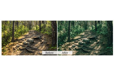 90 Nature Photoshop Actions By Cilo Creative | TheHungryJPEG