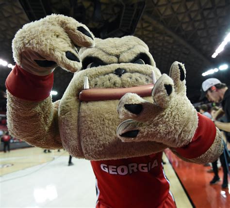 National Mascot Day: Ranking the SEC mascots from worst to best