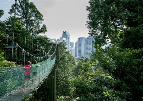 KL Forest Eco Park - SilverKris