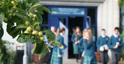 College Uniform – Castleknock Community College