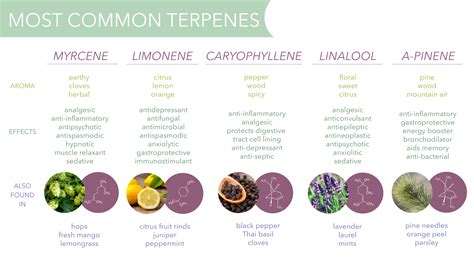 What are Terpenes? – Vape Natural Herbs