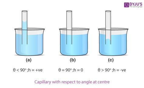 Capillary Action - Meaning, Definition, Examples, Adhesion, Cohesion