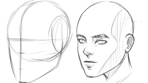 How to Draw Human Head 3/4 View | Drawing tutorial face, Drawing the human head, Human face drawing