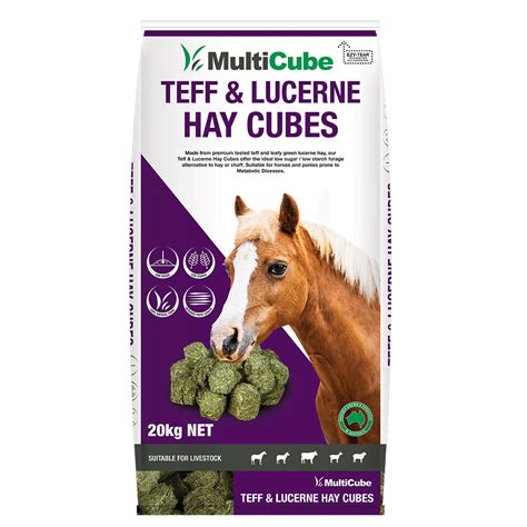 Teff & Lucerne Hay Cubes - Multicube Hay & Cube