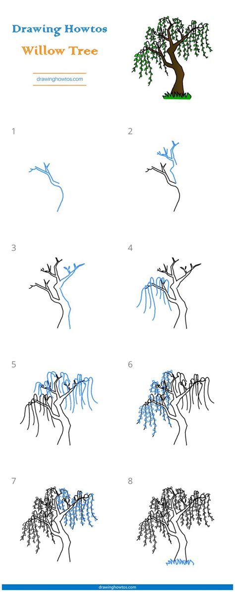 How To Draw Willow Tree at How To Draw