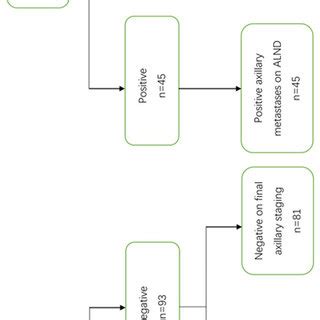 Schematic diagram of percutaneous biopsy results by types and surgical ...