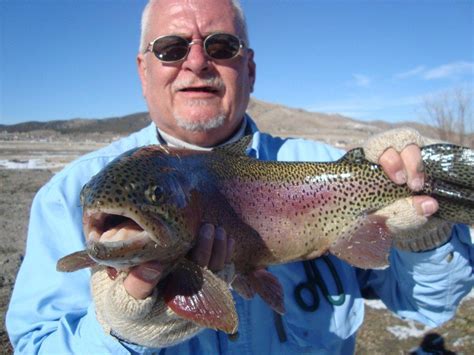 Utah Fly Fishing Tips and Photos Guide Services: Winter Secrets To Catching Spawning Tiger Trout ...