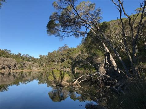 Bucklands Jetty Boat Hire (Mallacoota): UPDATED 2021 All You Need to Know Before You Go (with ...