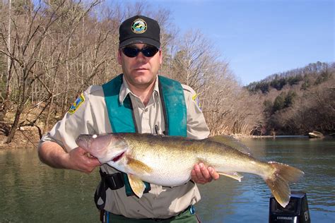 Kentucky Afield Outdoors: Find out about new fishing regulations before you cast that first line ...