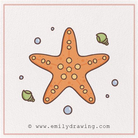 How to Draw a Starfish – Emily Drawing