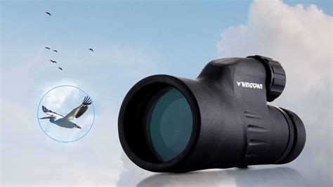 13 Best Monoculars for Bird Watching in 2023 - Techtouchy