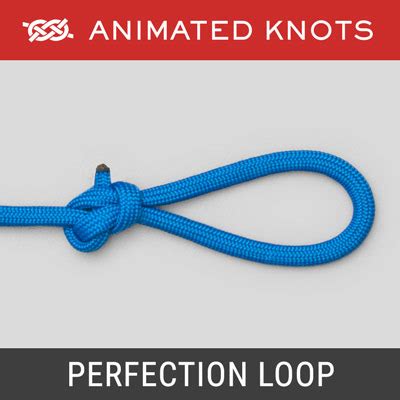 Perfection Loop Knot | How to tie a Perfection Loop Knot using Step-by ...