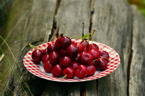 Free Images : branch, fruit, berry, leaf, flower, summer, food, red, produce, plate, garden ...