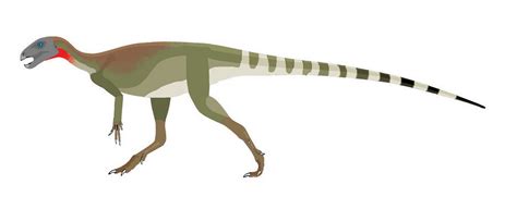 Pisanosaurus mertii by Matyisaurus on DeviantArt