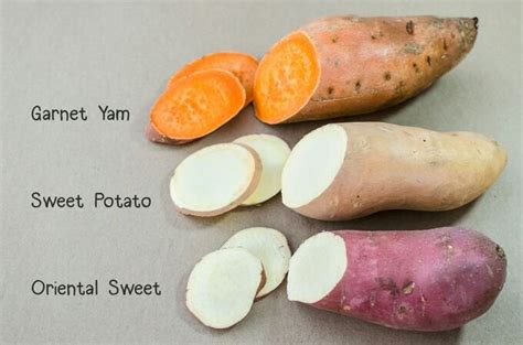 Yams vs Sweet Potato | BabyCenter