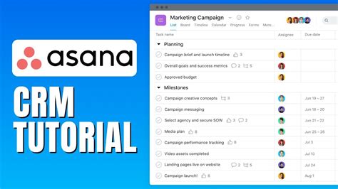 Asana CRM Tutorial - How To Use Asana CRM For Beginners - YouTube