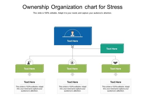 Ownership Organization Chart For Stress Infographic Template ...