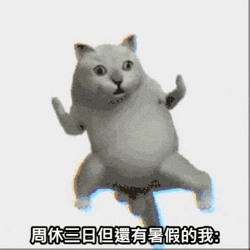 20張超好笑【奇怪的姿勢增加了】 GIF 梗圖！快來看看網友們的搞笑創作！