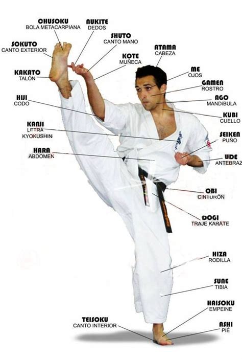 an image of a man doing karate in front of the words on his chest and arms