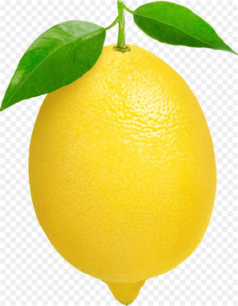 Lemon clipart lemon fruit, Lemon lemon fruit Transparent FREE for download on WebStockReview 2024