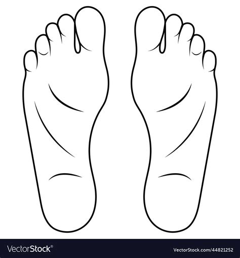 Man foot drawing cartoon shoe size foot anatomy Vector Image