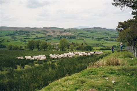 When is the Best Time to Visit Eryri? | Snowdonia National Park