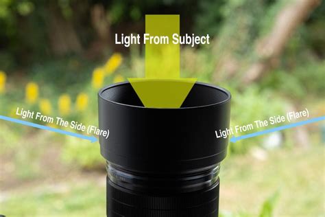 What is Lens Flare? And How to Avoid It - Adorama