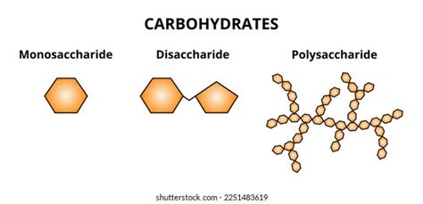 Monosaccharides Structure