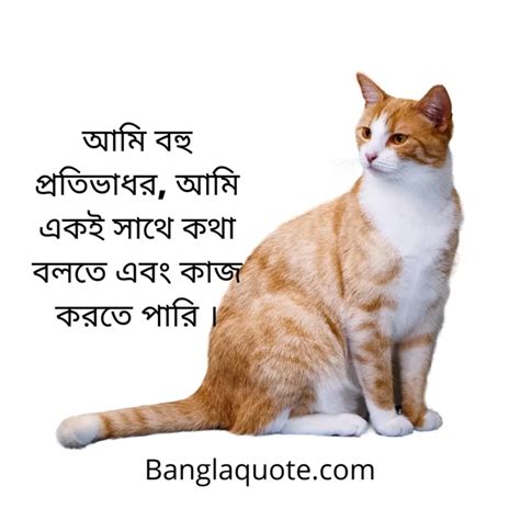 Bangla Attitude Status For Facebook