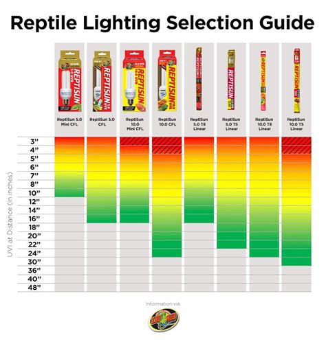 Reptile UVB Lighting Guide | Petco