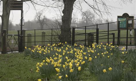 Royal Horticultural Society garden puts on an impressive show of colour.