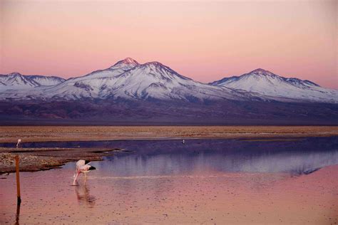 Atacama Desert Salt Flats Experience | Chile Luxury Travel | Walk into Luxury