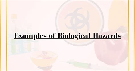 Examples of Biological Hazards - Vivid Examples