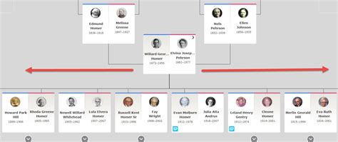 Best Family Tree for DNA Matches - Your DNA Guide - Diahan Southard