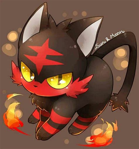 Adorable Litten - The Perfect New Starter Pokemon