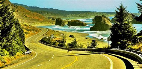 US Highway 101 Photo Gallery, US 101 Photos in Oregon