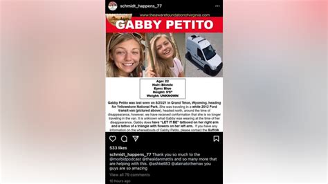 Instagram limiting comments on Gabby Petito’s account after ...